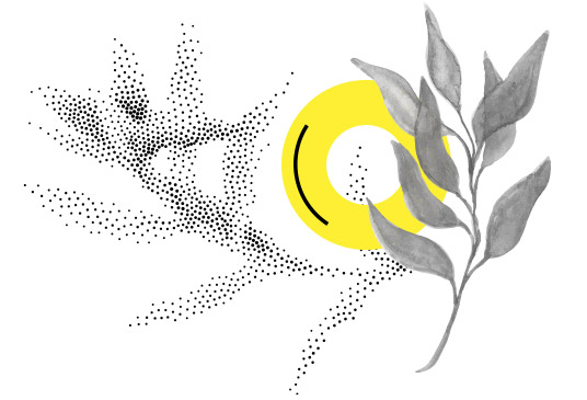 img-contact-coaching